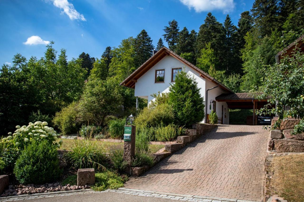 Schwarzwald Chalets Фройденштадт Экстерьер фото